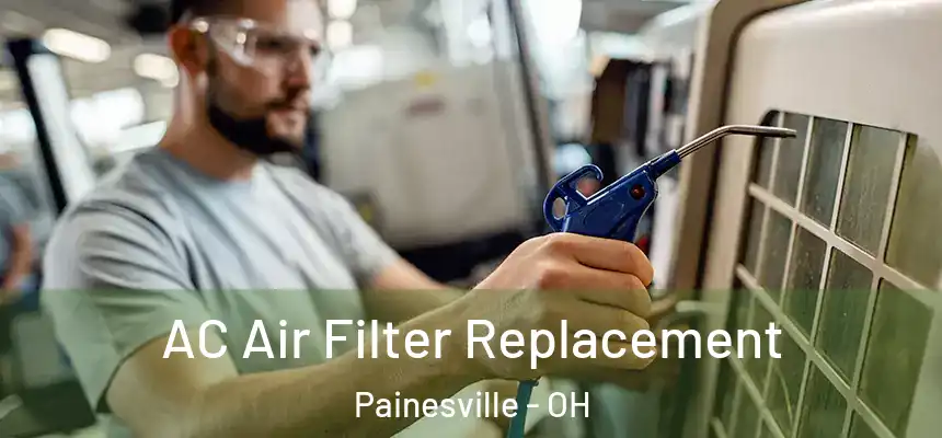  AC Air Filter Replacement Painesville - OH