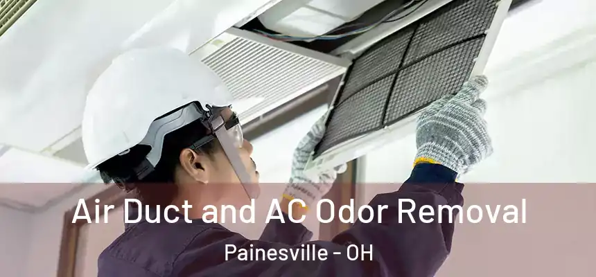 Air Duct and AC Odor Removal Painesville - OH