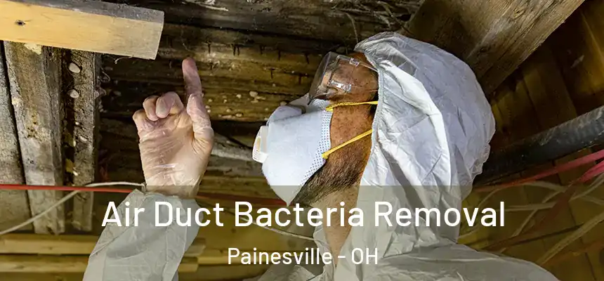 Air Duct Bacteria Removal Painesville - OH
