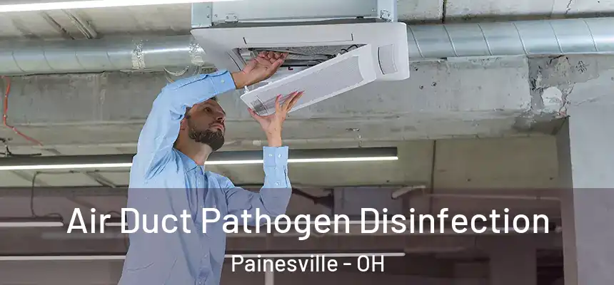 Air Duct Pathogen Disinfection Painesville - OH