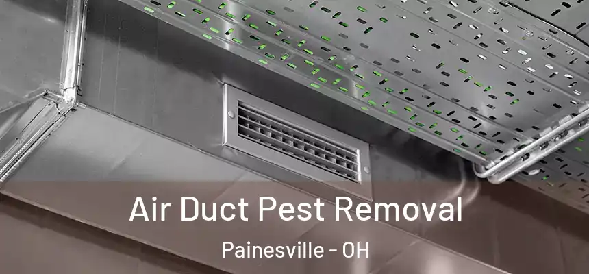  Air Duct Pest Removal Painesville - OH
