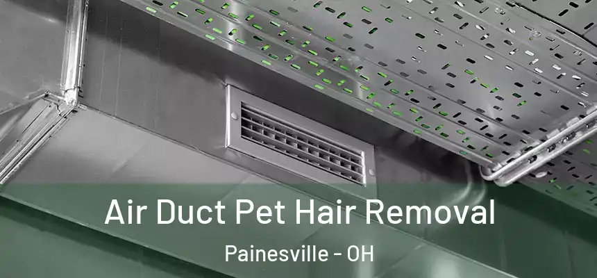 Air Duct Pet Hair Removal Painesville - OH