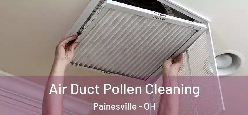Air Duct Pollen Cleaning Painesville - OH