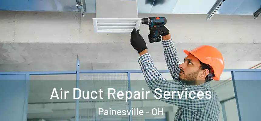 Air Duct Repair Services Painesville - OH
