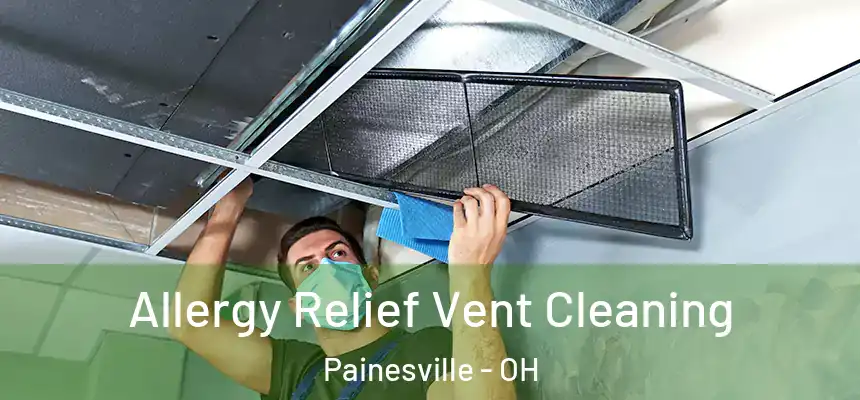  Allergy Relief Vent Cleaning Painesville - OH