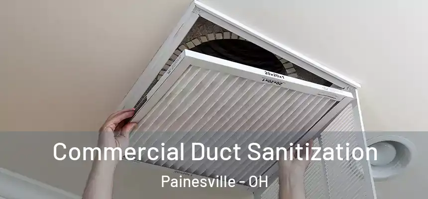  Commercial Duct Sanitization Painesville - OH