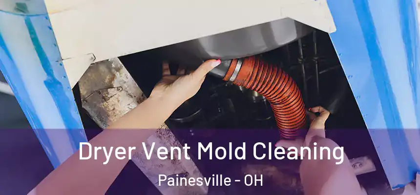 Dryer Vent Mold Cleaning Painesville - OH