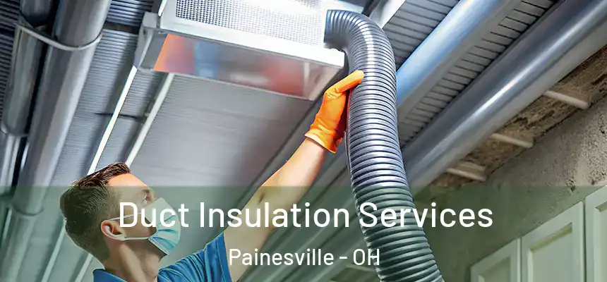 Duct Insulation Services Painesville - OH