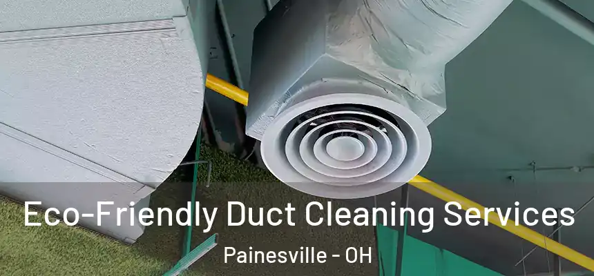Eco-Friendly Duct Cleaning Services Painesville - OH