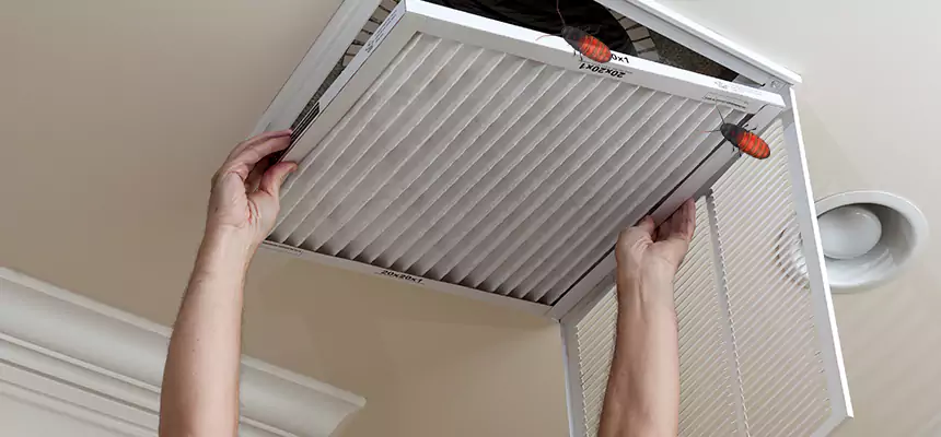 Preventive Cockroach-Proofing for Ducts in Painesville