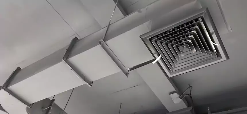 Restorative Allergy Relief Vent Cleaning – Coil, Blower & Housing Detail in Painesville