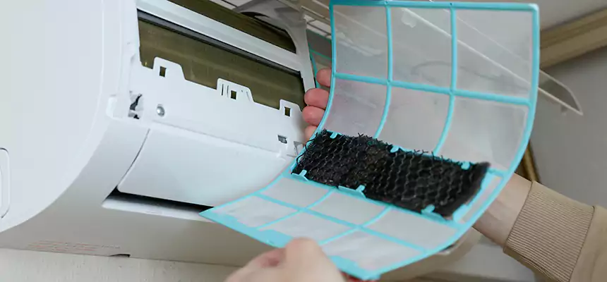 Gentle Ductwork Odor-Control Pet Dander Duct Cleaning in Painesville, OH