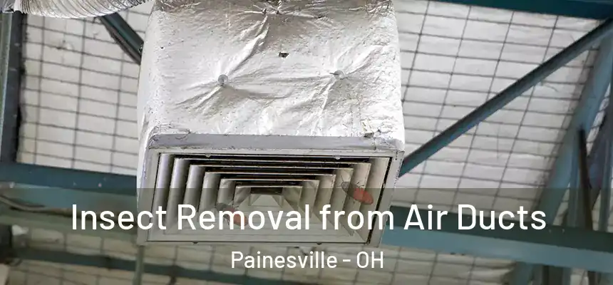  Insect Removal from Air Ducts Painesville - OH