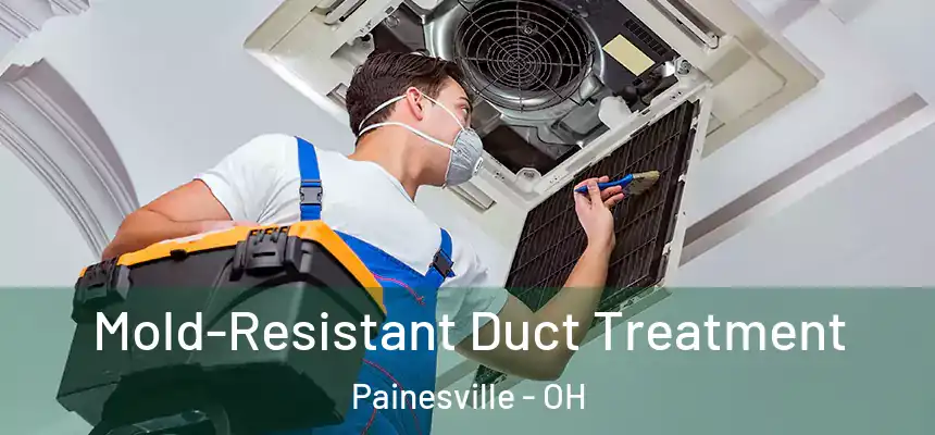  Mold-Resistant Duct Treatment Painesville - OH