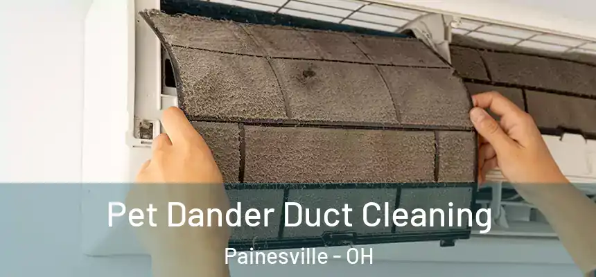Pet Dander Duct Cleaning Painesville - OH