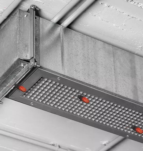 About Air Duct Cockroach Removal in Painesville, OH