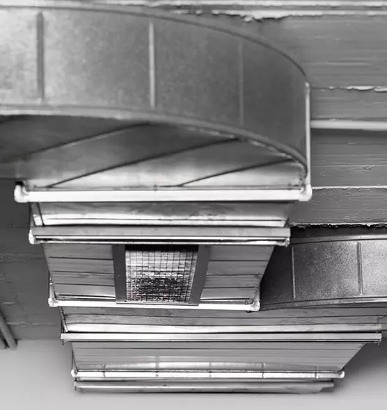 Professional Air Duct Pest Removal in Painesville, OH