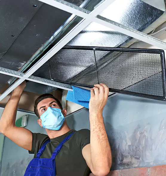 Professional Air Duct Pollen Cleaning in Painesville, OH