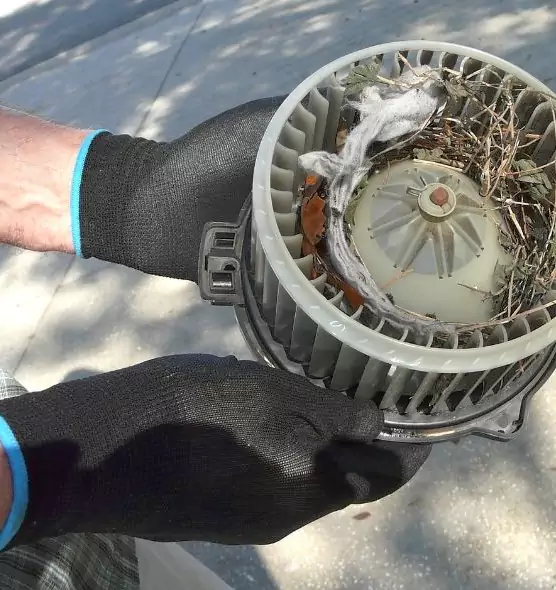 About Air Duct Rat Removal in Painesville, OH