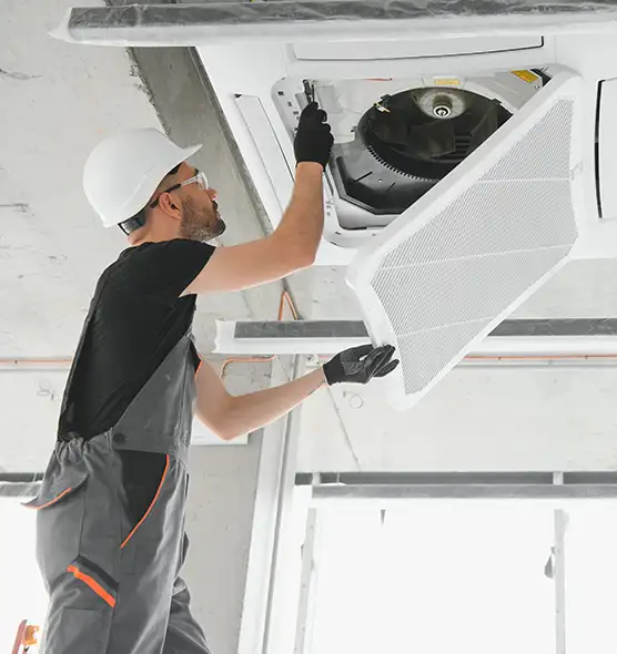 About Air Duct Rodent Removal in Painesville, OH