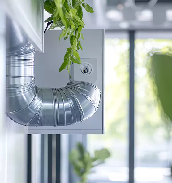 Professional Eco-Safe Dryer Vent Cleaning in Painesville, OH