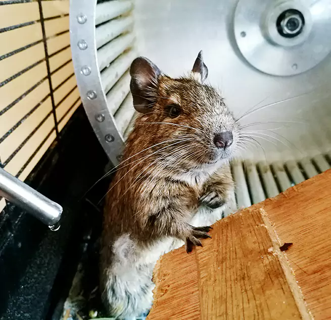 Why Homeowners & Businesses Trust Us Painesville, OH