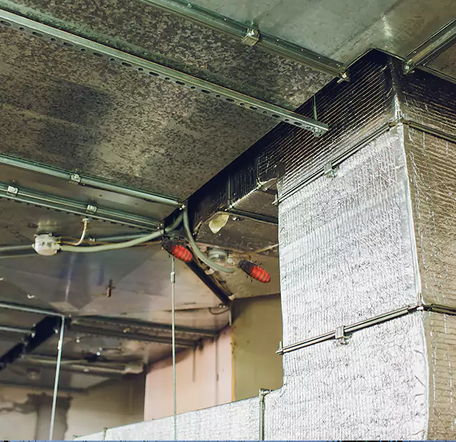 Why Homeowners & Businesses Trust Us Painesville, OH?