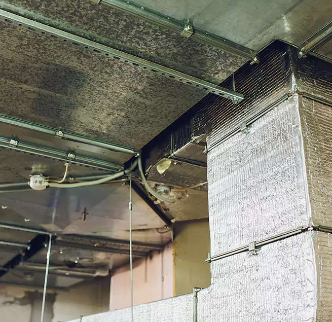 Why Homeowners & Businesses Trust Us in Painesville, OH?