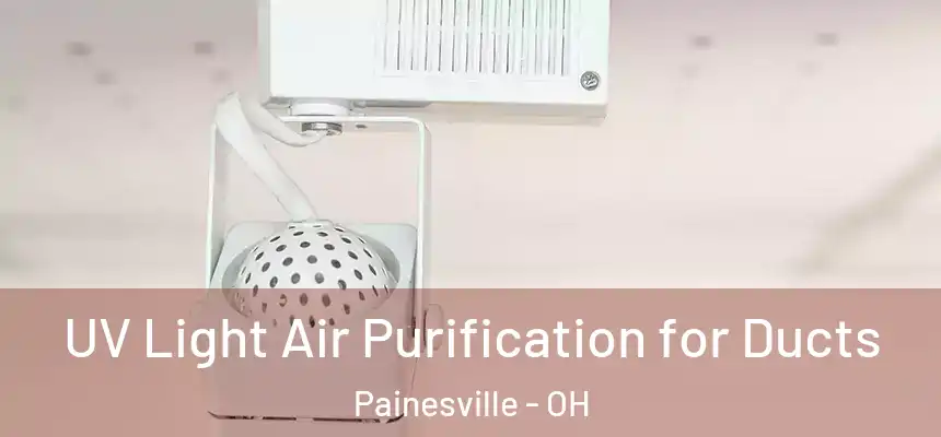 UV Light Air Purification for Ducts Painesville - OH